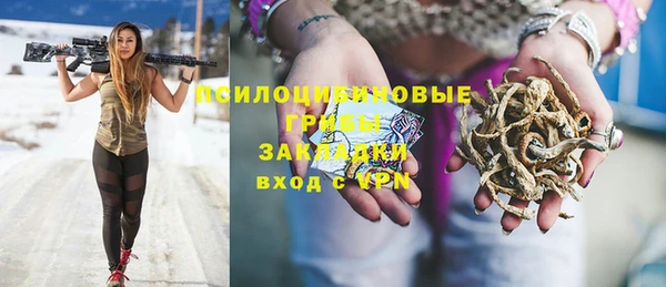 ешки Абаза